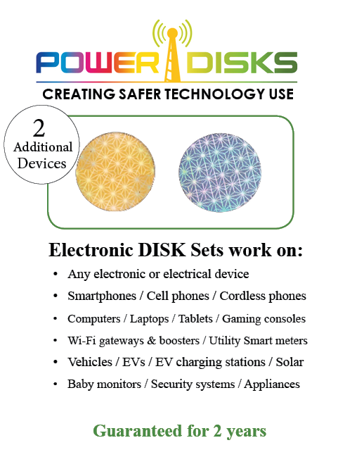 Electronic DISKs for 2 Devices