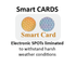 Smart CARDS - 3 for 1 Vehicle